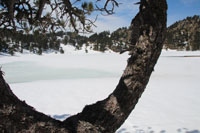 Randonn�es et ski de randonn�es en montagne dans les Pyr�n�es