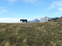 Randonn�es et ski de randonn�es en montagne dans les Pyr�n�es