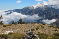 Randonn�es et ski de randonn�es en montagne dans les Pyr�n�es