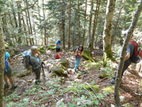 Randonn�es et ski de randonn�es en montagne dans les Pyr�n�es