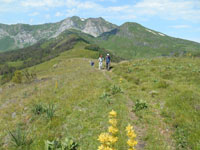 Randonn�es et ski de randonn�es en montagne dans les Pyr�n�es