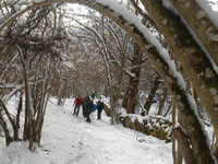 Randonn�es et ski de randonn�es en montagne dans les Pyr�n�es