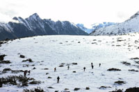 Randonn�es et ski de randonn�es en montagne dans les Pyr�n�es