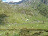 Randonn�es et ski de randonn�es en montagne dans les Pyr�n�es