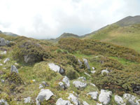 Randonn�es et ski de randonn�es en montagne dans les Pyr�n�es