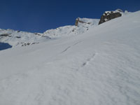 Randonn�es et ski de randonn�es en montagne dans les Pyr�n�es