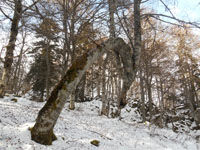 Randonn�es et ski de randonn�es en montagne dans les Pyr�n�es