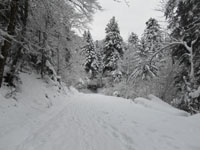 Randonn�es et ski de randonn�es en montagne dans les Pyr�n�es