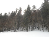 Randonn�es et ski de randonn�es en montagne dans les Pyr�n�es