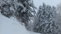 Randonn�es et ski de randonn�es en montagne dans les Pyr�n�es