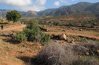 Randonn�es et ski de randonn�es en montagne dans les Pyr�n�es