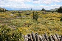 Randonn�es et ski de randonn�es en montagne dans les Pyr�n�es