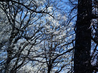 Randonn�es et ski de randonn�es en montagne dans les Pyr�n�es