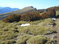 Randonn�es et ski de randonn�es en montagne dans les Pyr�n�es