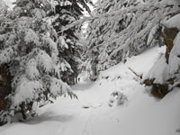 Randonn�es et ski de randonn�es en montagne dans les Pyr�n�es