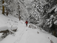 Randonn�es et ski de randonn�es en montagne dans les Pyr�n�es