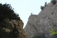 Randonn�es et ski de randonn�es en montagne dans les Pyr�n�es