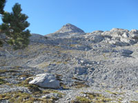 Randonn�es et ski de randonn�es en montagne dans les Pyr�n�es