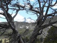 Randonnées et ski de randonnées en montagne dans les Pyrénées