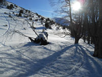 Randonn�es et ski de randonn�es en montagne dans les Pyr�n�es