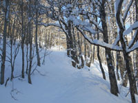 Randonn�es et ski de randonn�es en montagne dans les Pyr�n�es