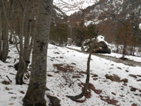 Randonn�es et ski de randonn�es en montagne dans les Pyr�n�es