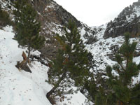 Randonn�es et ski de randonn�es en montagne dans les Pyr�n�es