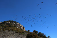 Randonn�es et ski de randonn�es en montagne dans les Pyr�n�es