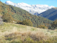 Randonn�es et ski de randonn�es en montagne dans les Pyr�n�es