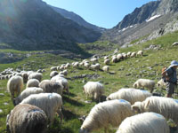 Randonn�es et ski de randonn�es en montagne dans les Pyr�n�es