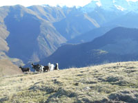 Randonn�es et ski de randonn�es en montagne dans les Pyr�n�es