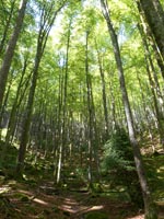 Randonn�es et ski de randonn�es en montagne dans les Pyr�n�es