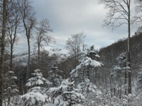 Randonn�es et ski de randonn�es en montagne dans les Pyr�n�es