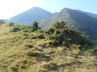 Randonn�es et ski de randonn�es en montagne dans les Pyr�n�es