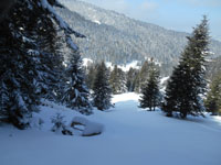 Randonn�es et ski de randonn�es en montagne dans les Pyr�n�es