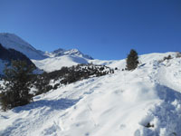 Randonn�es et ski de randonn�es en montagne dans les Pyr�n�es