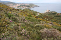 Randonn�es et ski de randonn�es en montagne dans les Pyr�n�es